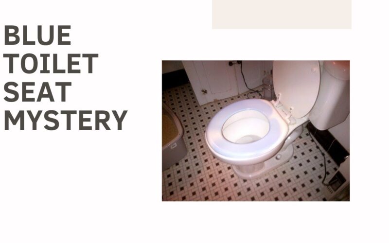 The Mystery of the Blue Toilet Seat